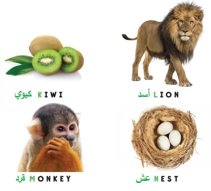 صورة